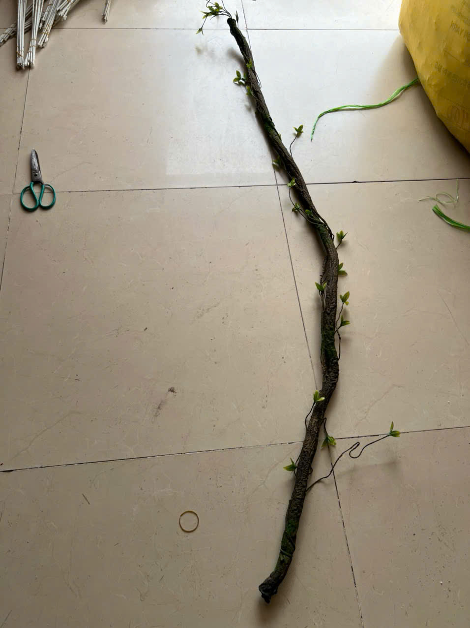 Dây rừng 1,8m giá 60k ak