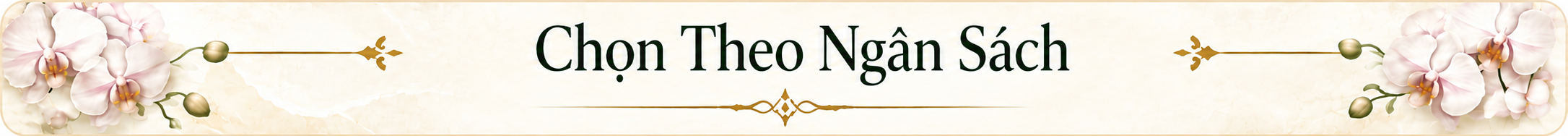 Chọn Theo Ngân Sách(1)