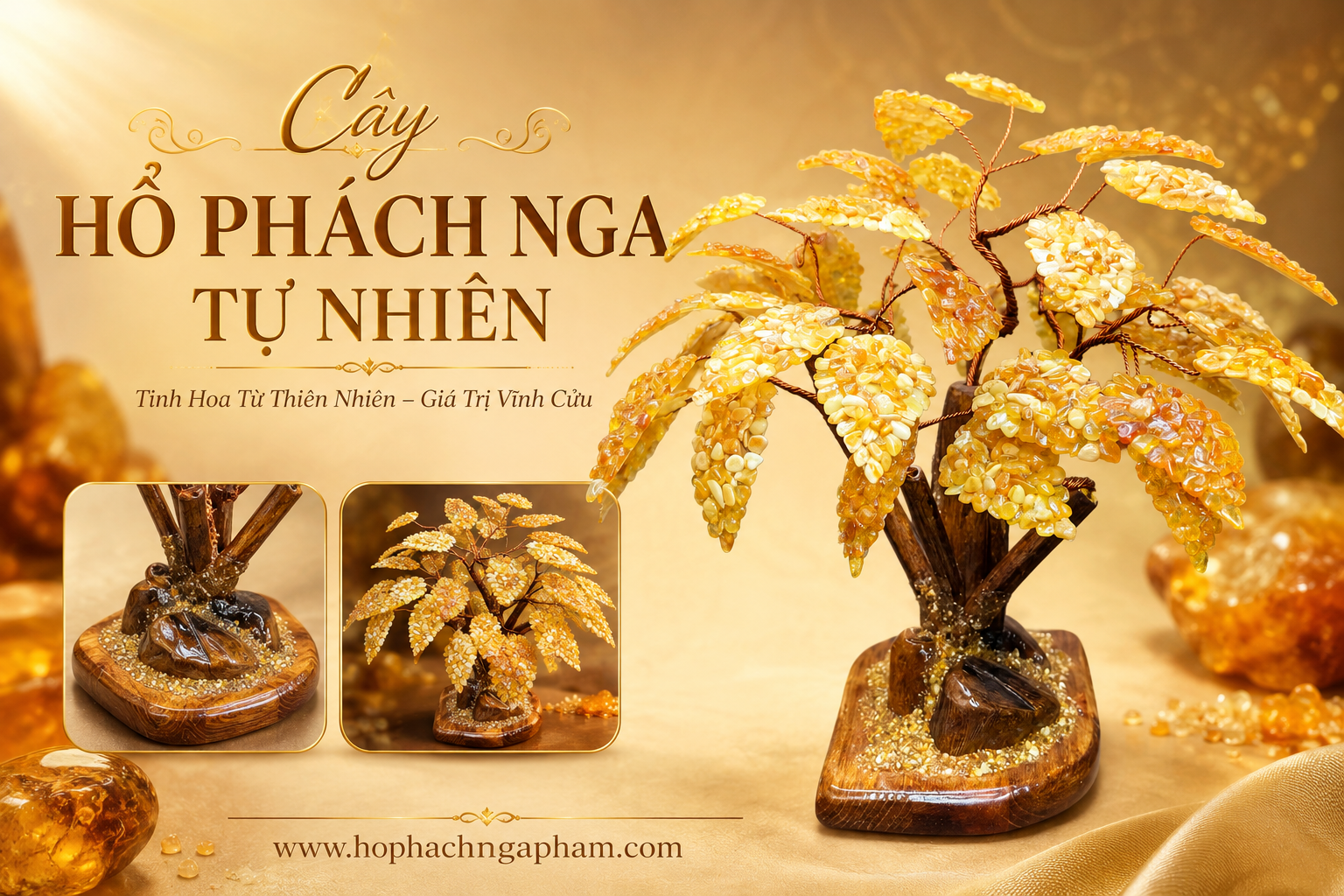 Cây Hổ Phách Là Gì? Có Phải Làm Từ Hổ Phách Tự Nhiên Không?