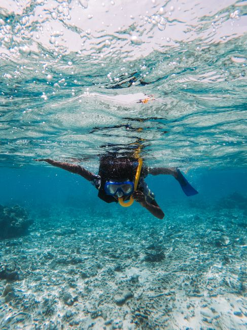 Snorkel en arrecife de coral del Caribe mexicano