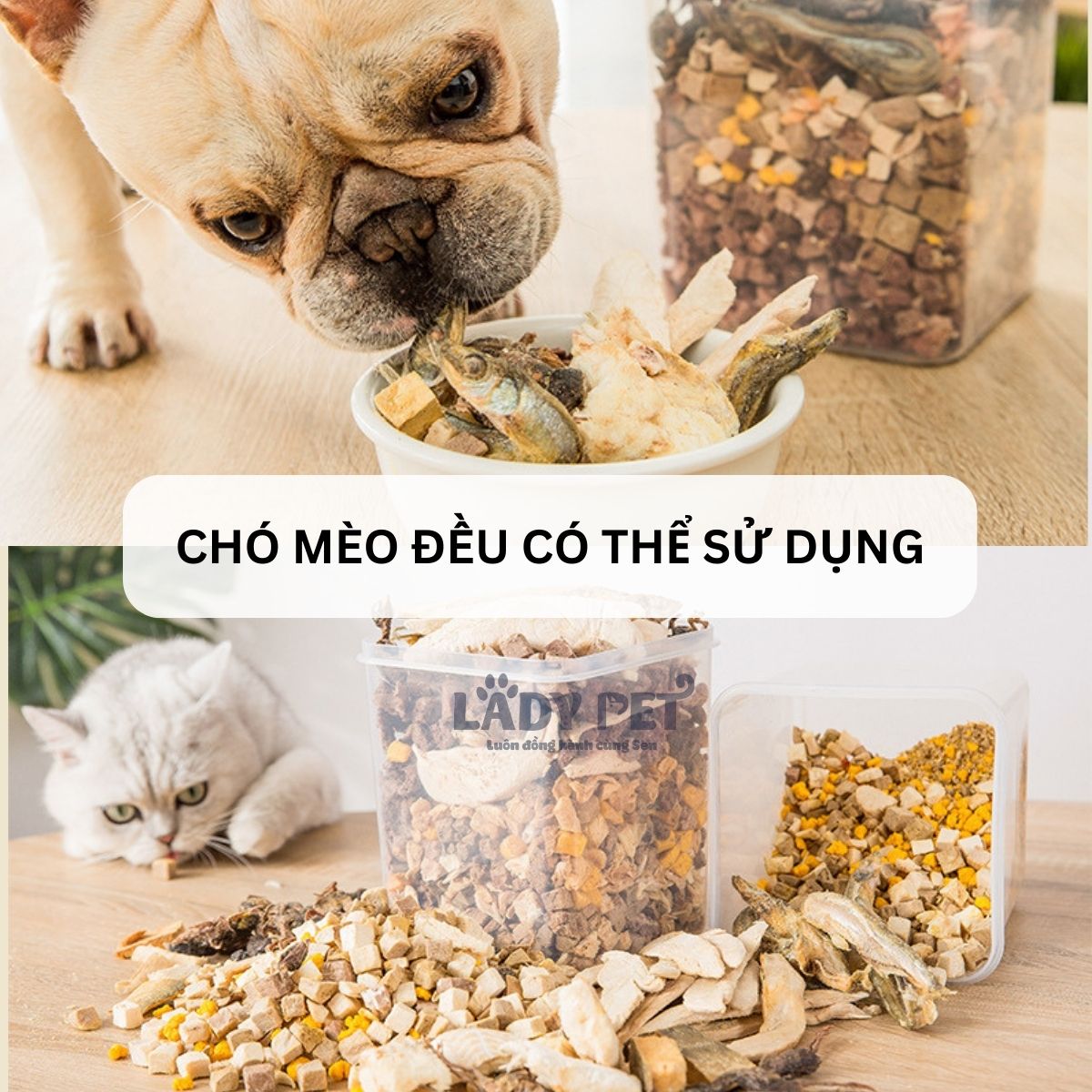 [Thịt Sấy Thường] Hộp Thịt Sấy Tổng Hợp Cho Chó Mèo Hộp 650G_thumbnail_2