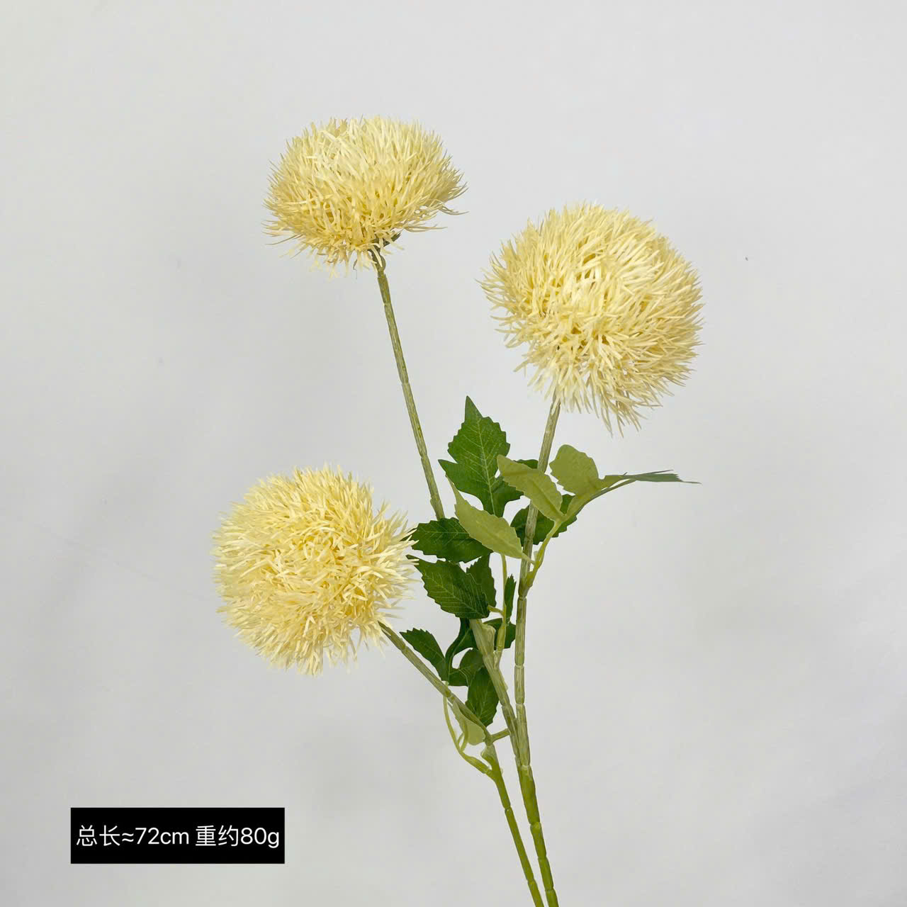 THẠCH TRÚC 3B 20K