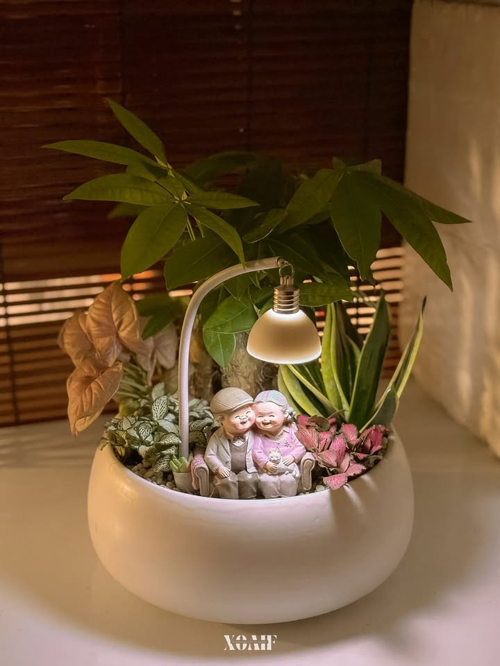 SET MIX KIM NGÂN TƯỢNG ÔNG BÀ 
