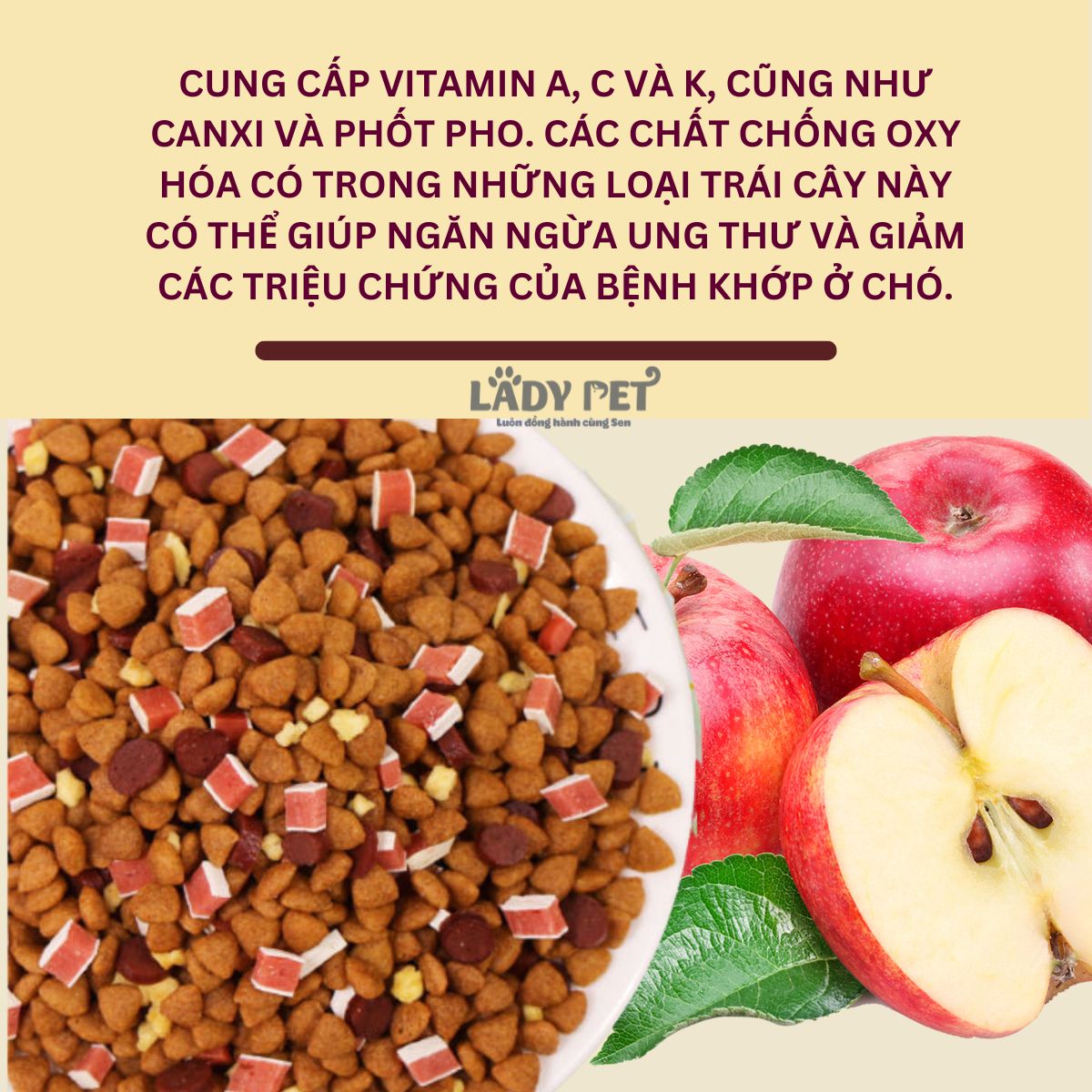 Hạt captain cho cún kén ăn_thumbnail_9