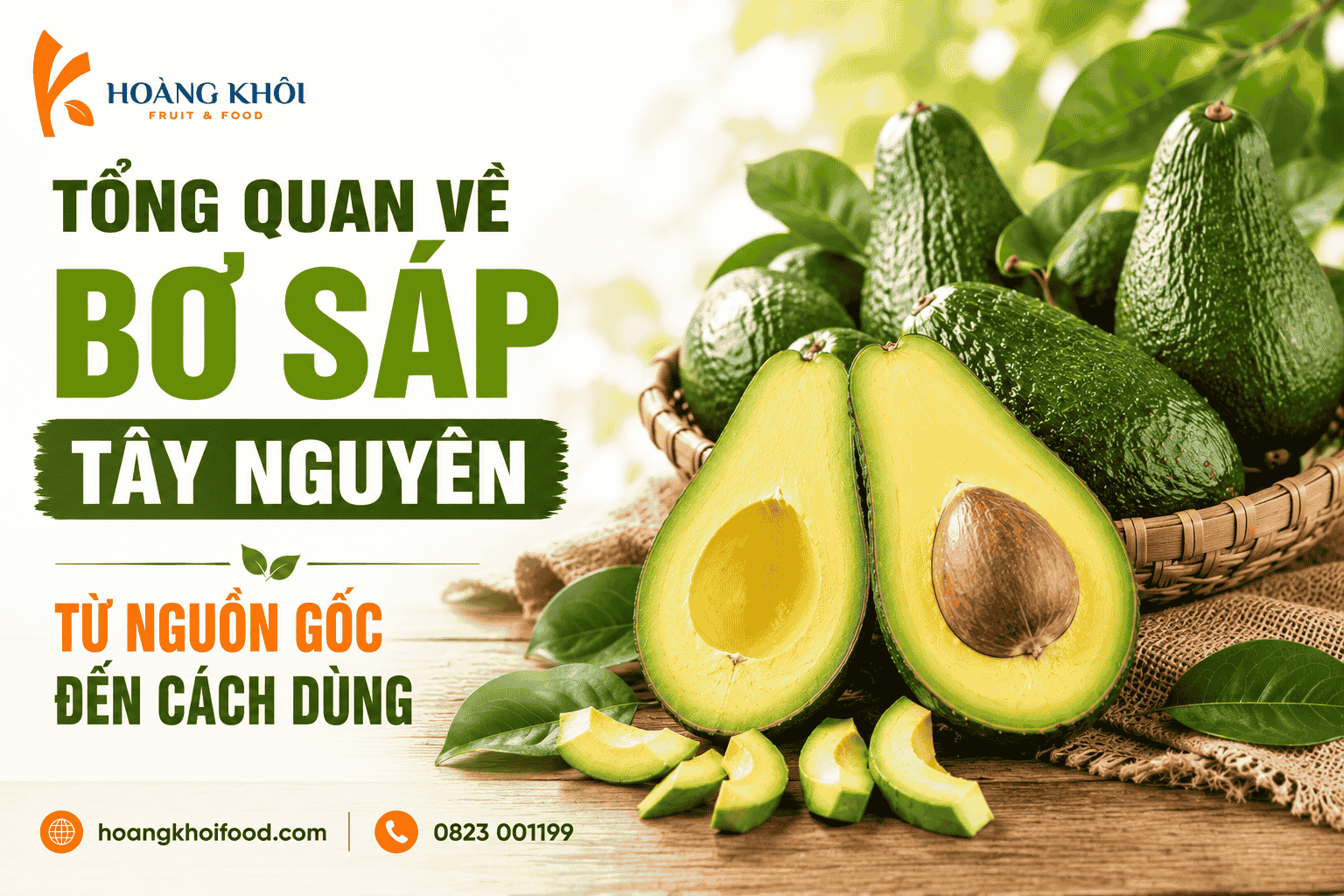 Tổng quan về bơ sáp Tây Nguyên: Từ nguồn gốc đến cách dùng