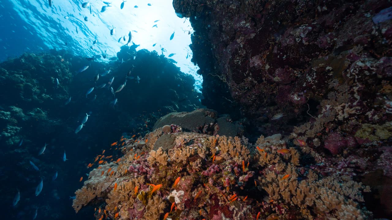 Isla Mujeres Pleasure_thumbnail_1