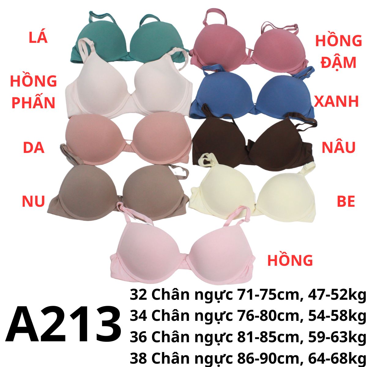 A213- Bra gọng