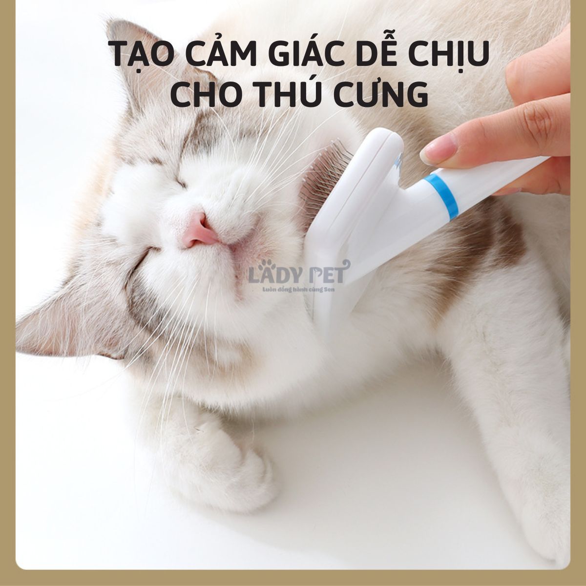 Lược đánh xù lông thú cưng_thumbnail_5