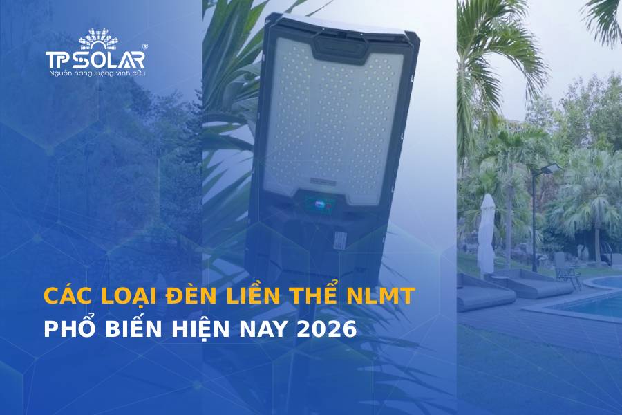 Các loại đèn liền thể năng lượng mặt trời phổ biến hiện nay