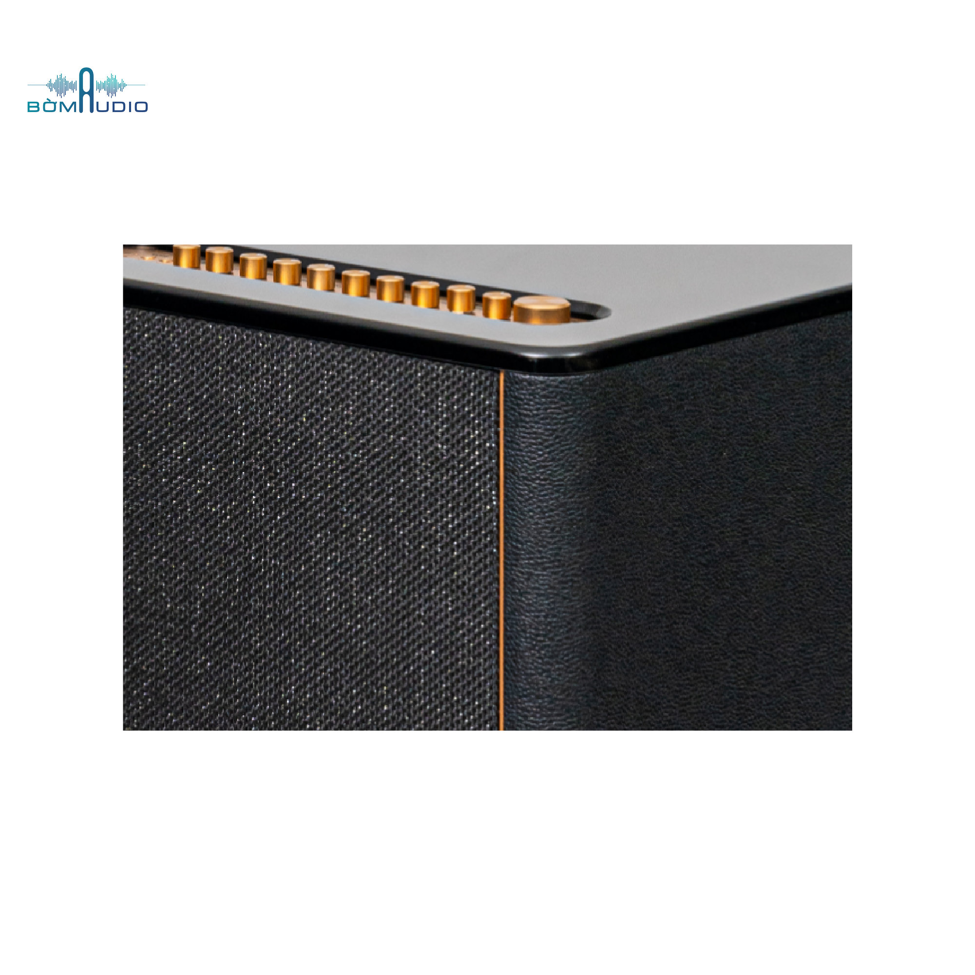 Loa Hifi Karaoke Di Động KADMA KF990_thumbnail_20