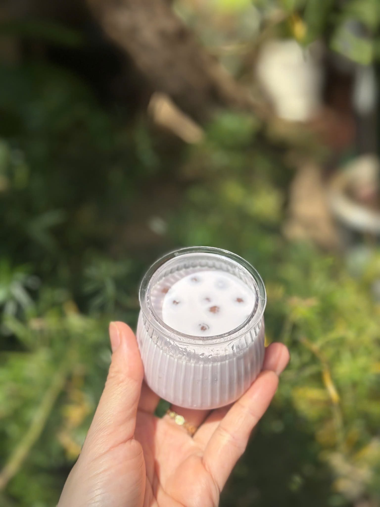 sữa chua khoai môn_1