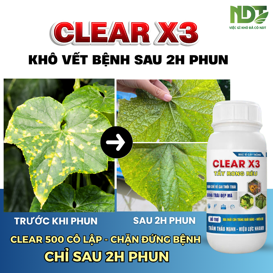 CLEAR X3_thumbnail_3