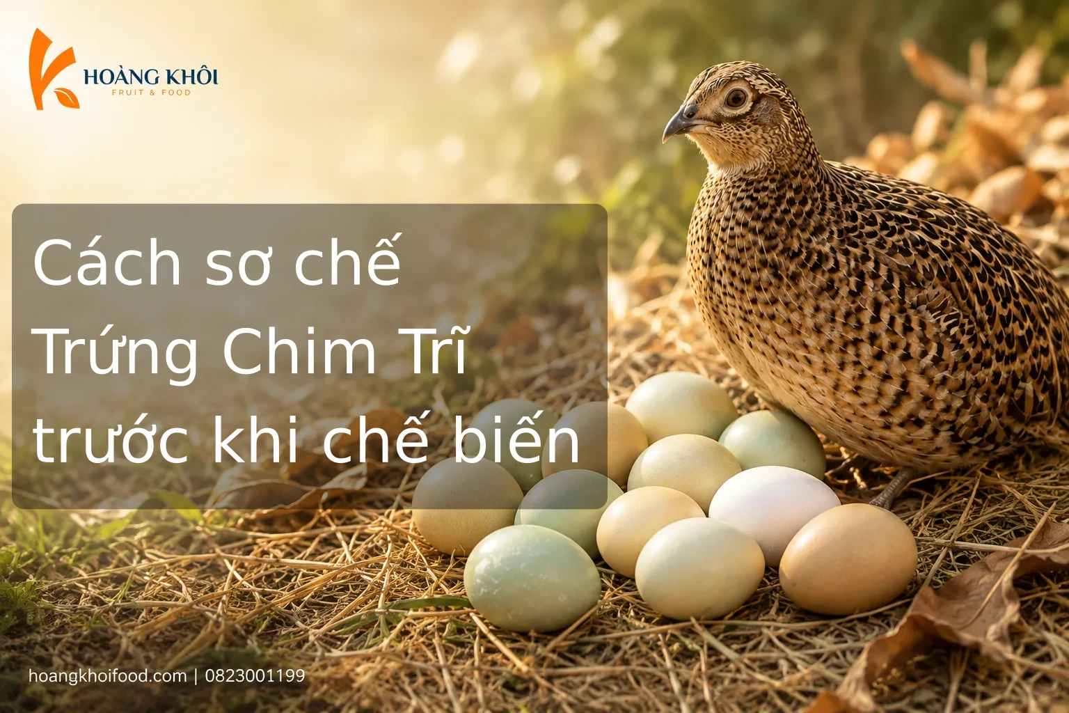 Cách sơ chế Trứng Chim Trĩ trước khi chế biến