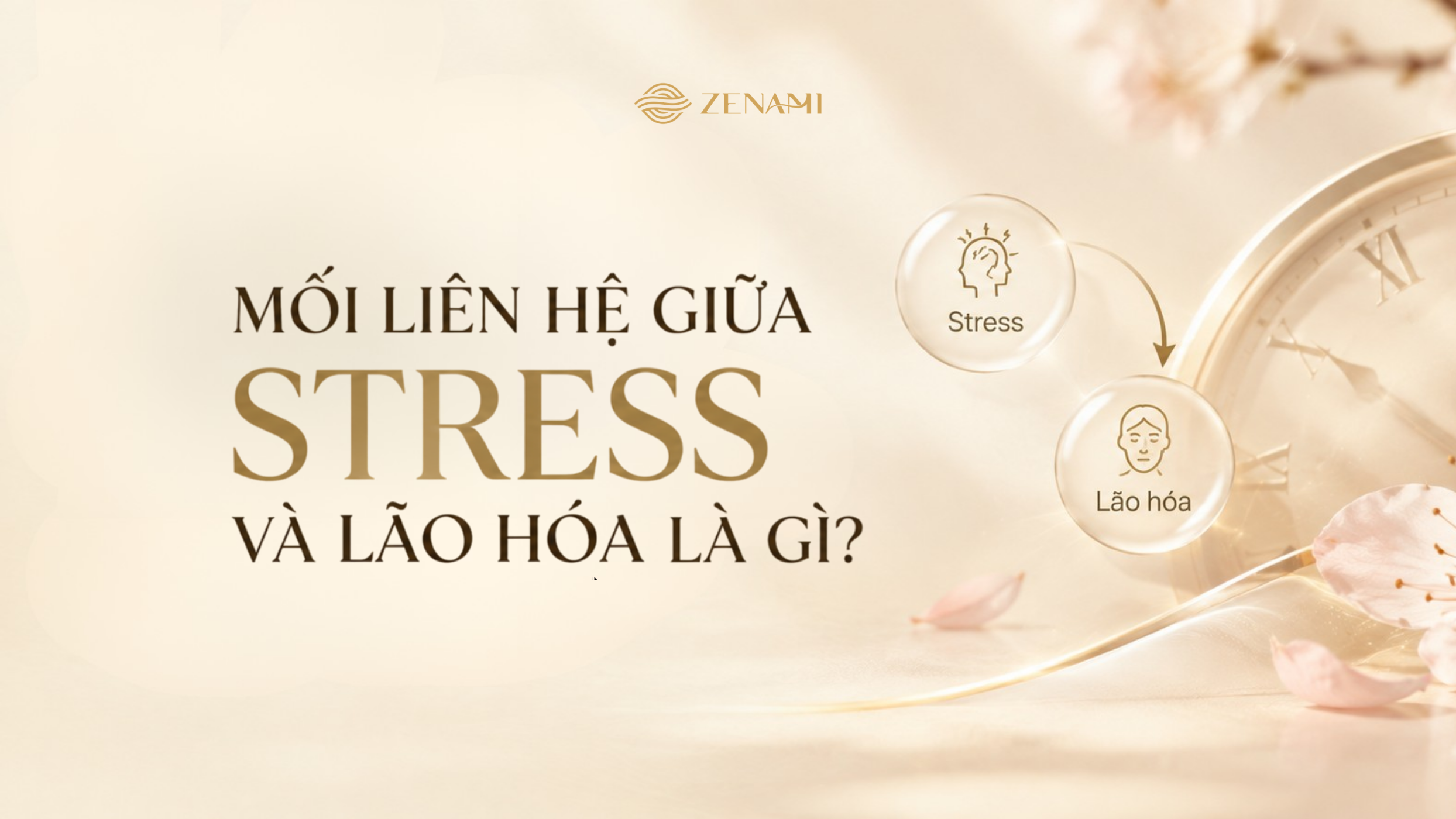 Mối liên hệ giữa stress và lão hóa là gì? Cách kiểm soát căng thẳng để sống khỏe