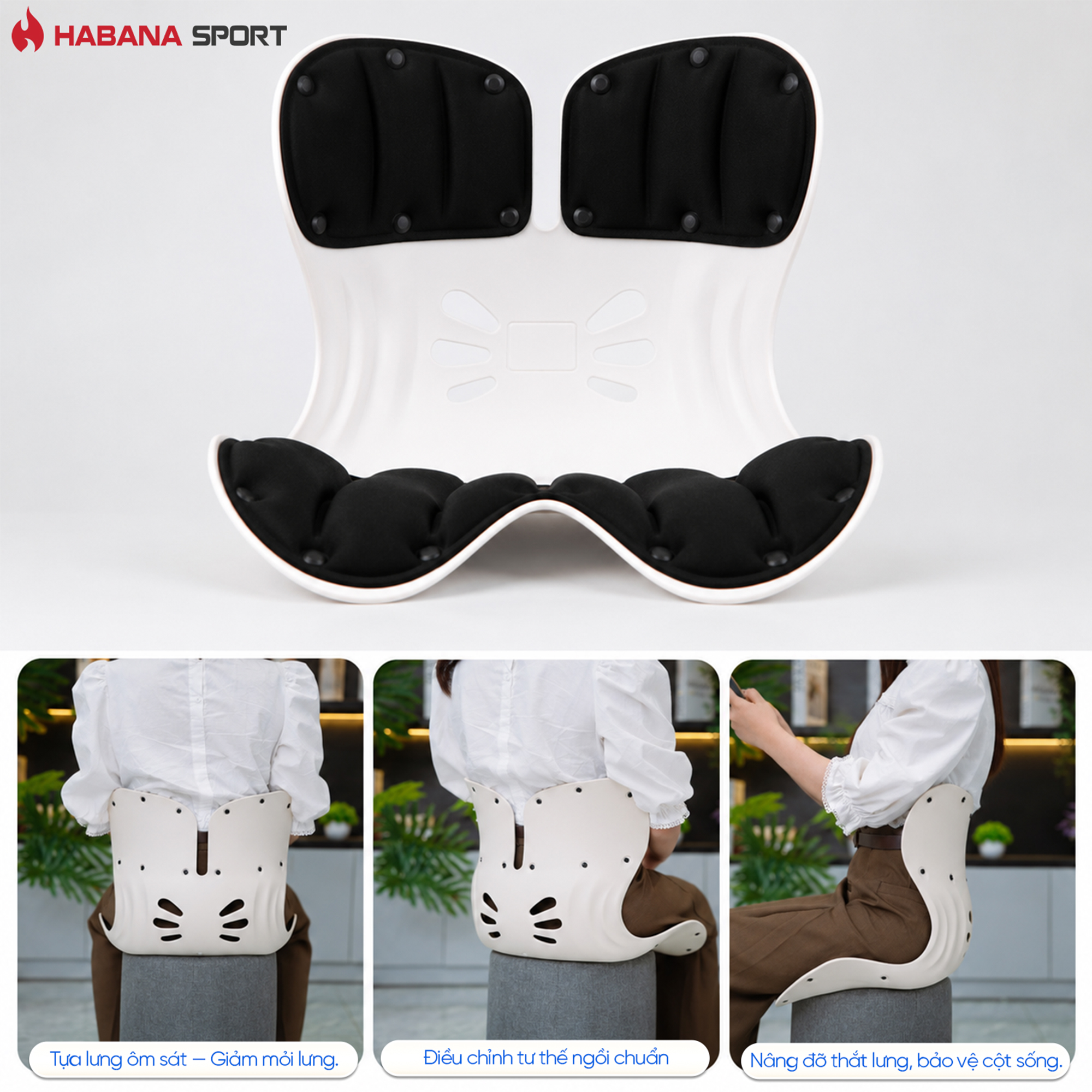 Ghế Chỉnh Dáng HABANA EGO BASE _thumbnail_3