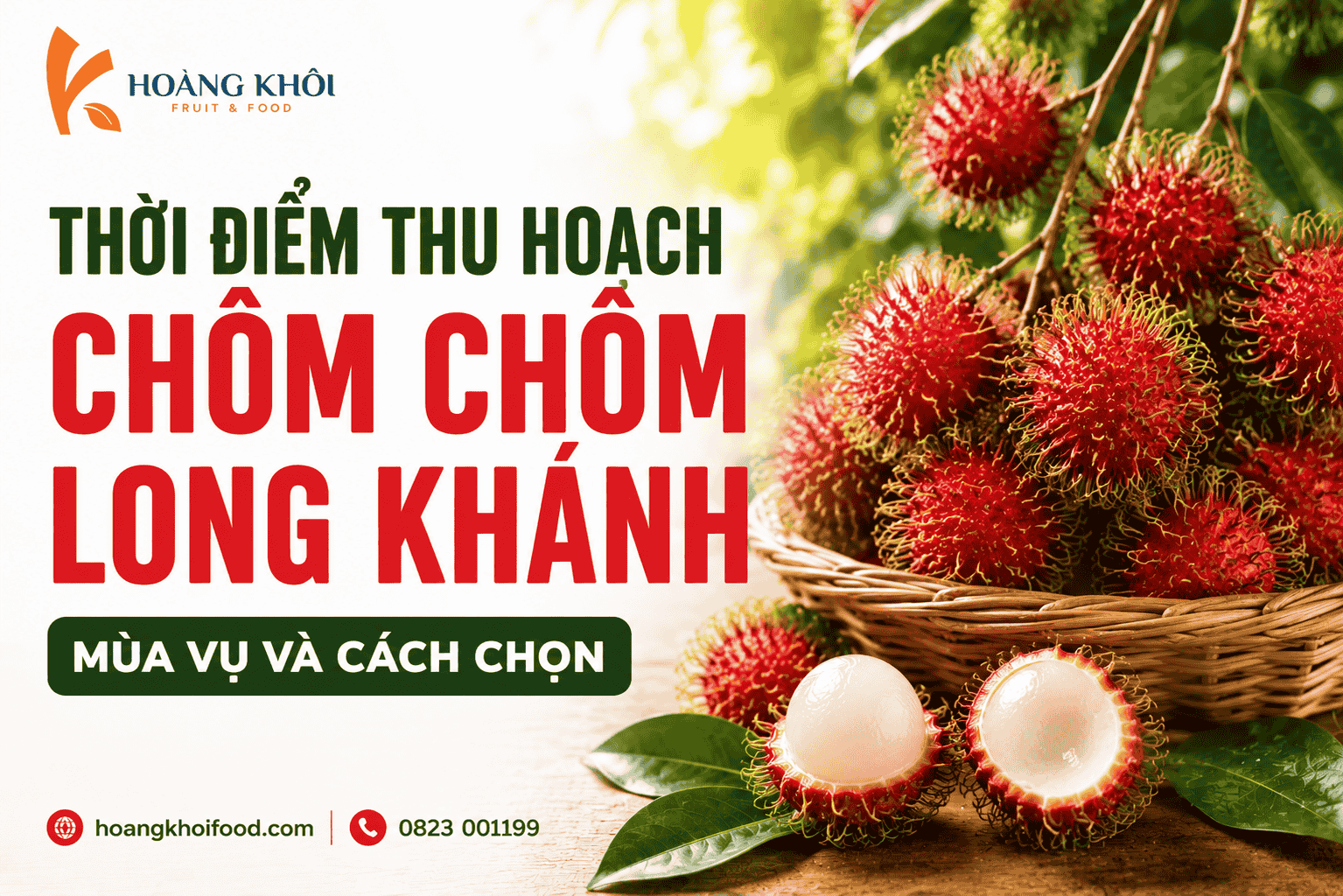 Thời điểm thu hoạch chôm chôm Long Khánh – mùa vụ và cách chọn