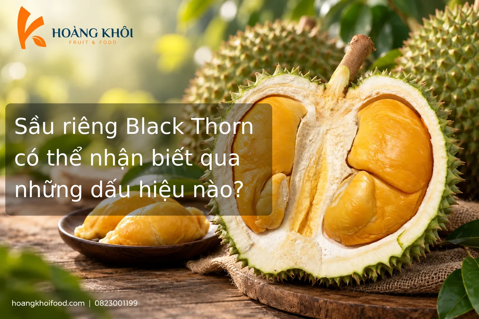 Sầu riêng Black Thorn có thể nhận biết qua những dấu hiệu nào?