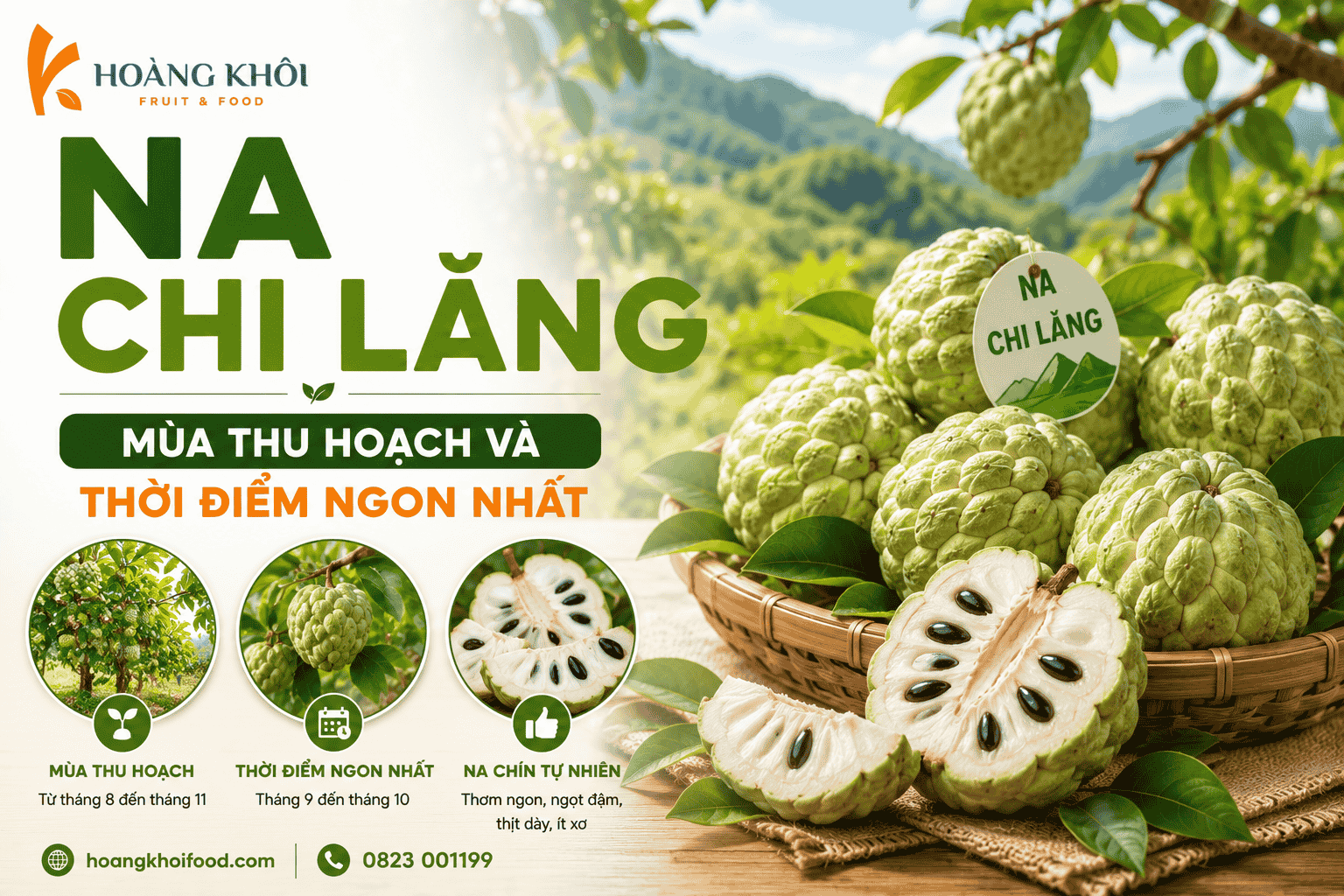 Na Chi Lăng – Mùa thu hoạch và thời điểm ngon nhất