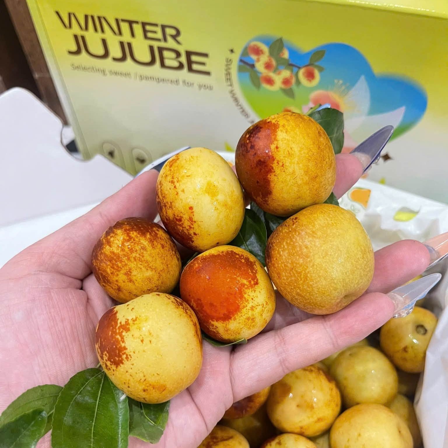 Hồng Táo
