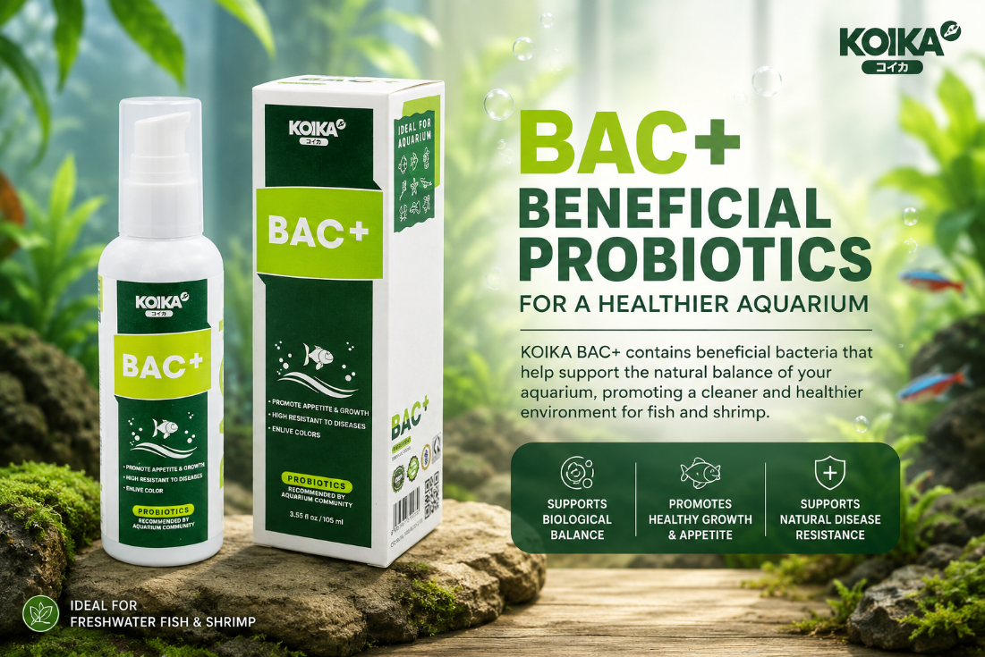 Think Crystal-Clear Water Means a Healthy Aquarium? Think Again.