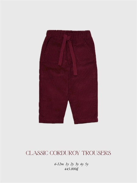 Classic Corduroy Trousers ( Quần Nhung ) 26