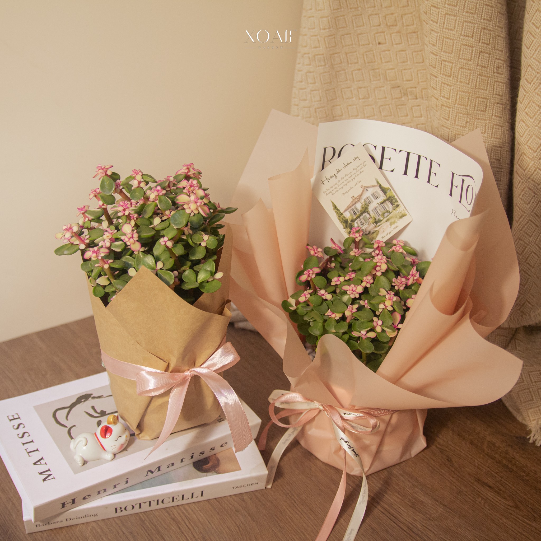 SET ĐÔ LA CHẬU SỨ GÓI HOA