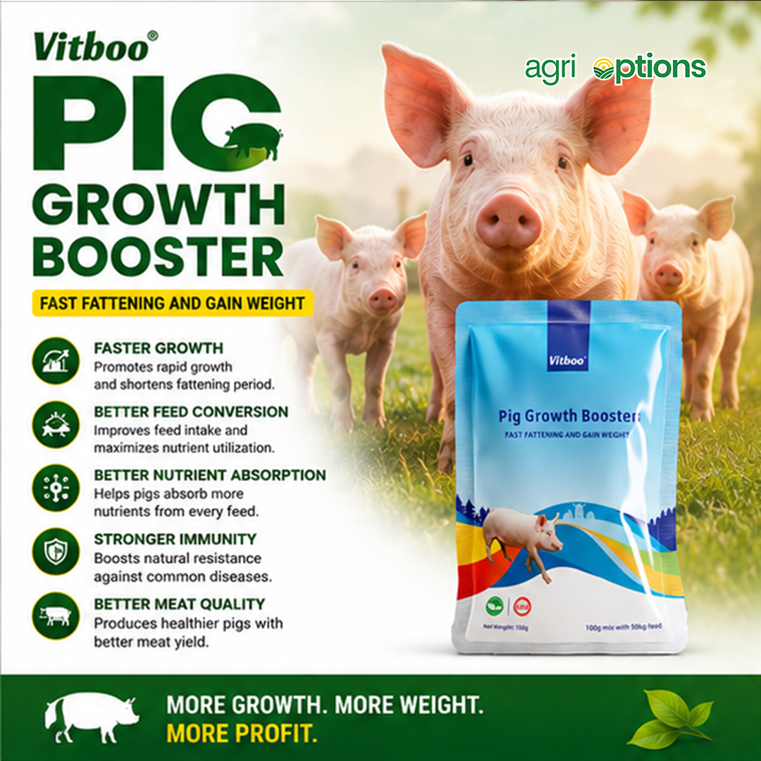 Vitboo Pig Growth Booster_thumbnail_6