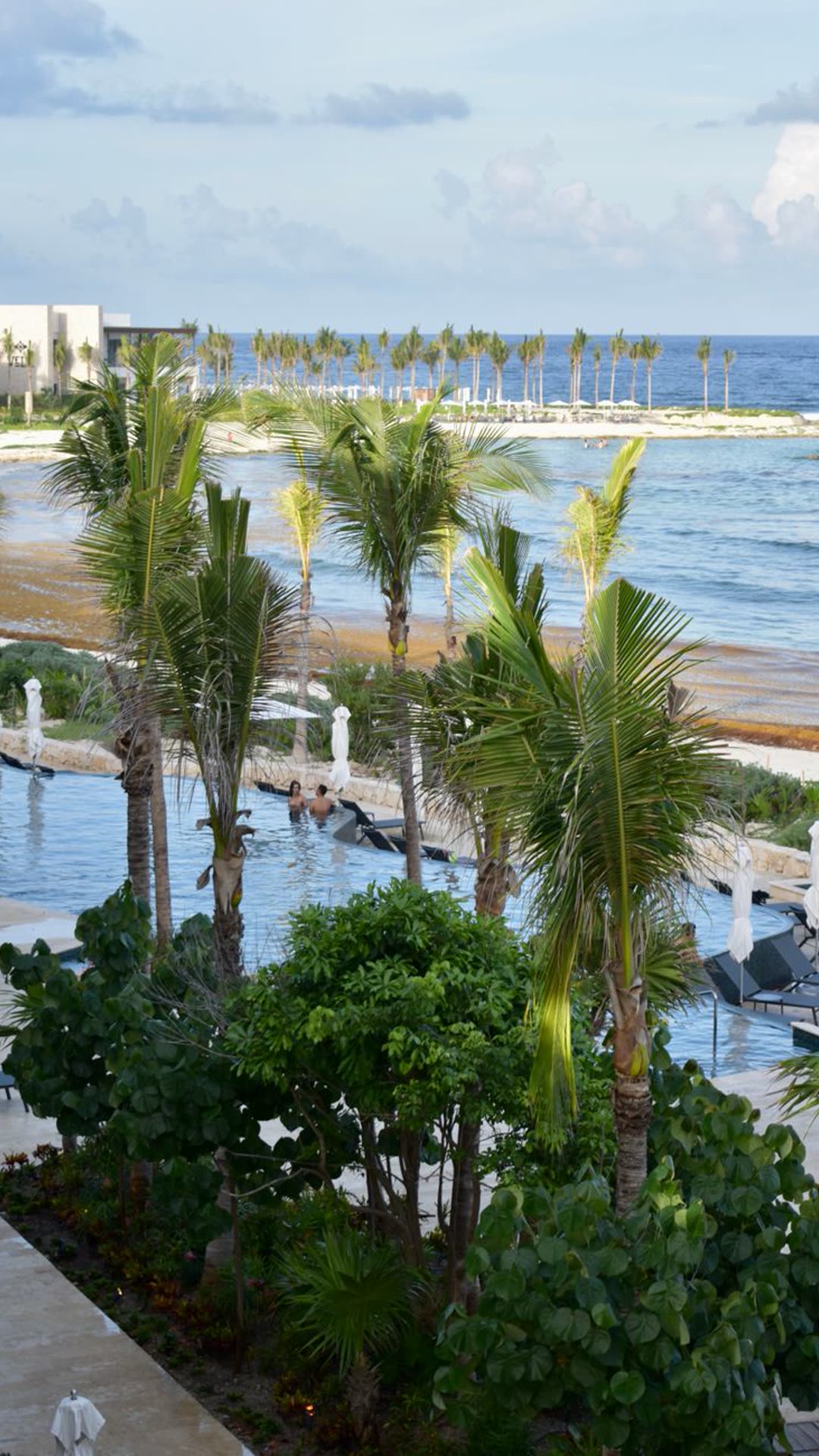 Resort con alberca, palmeras y vista al mar en Cancún