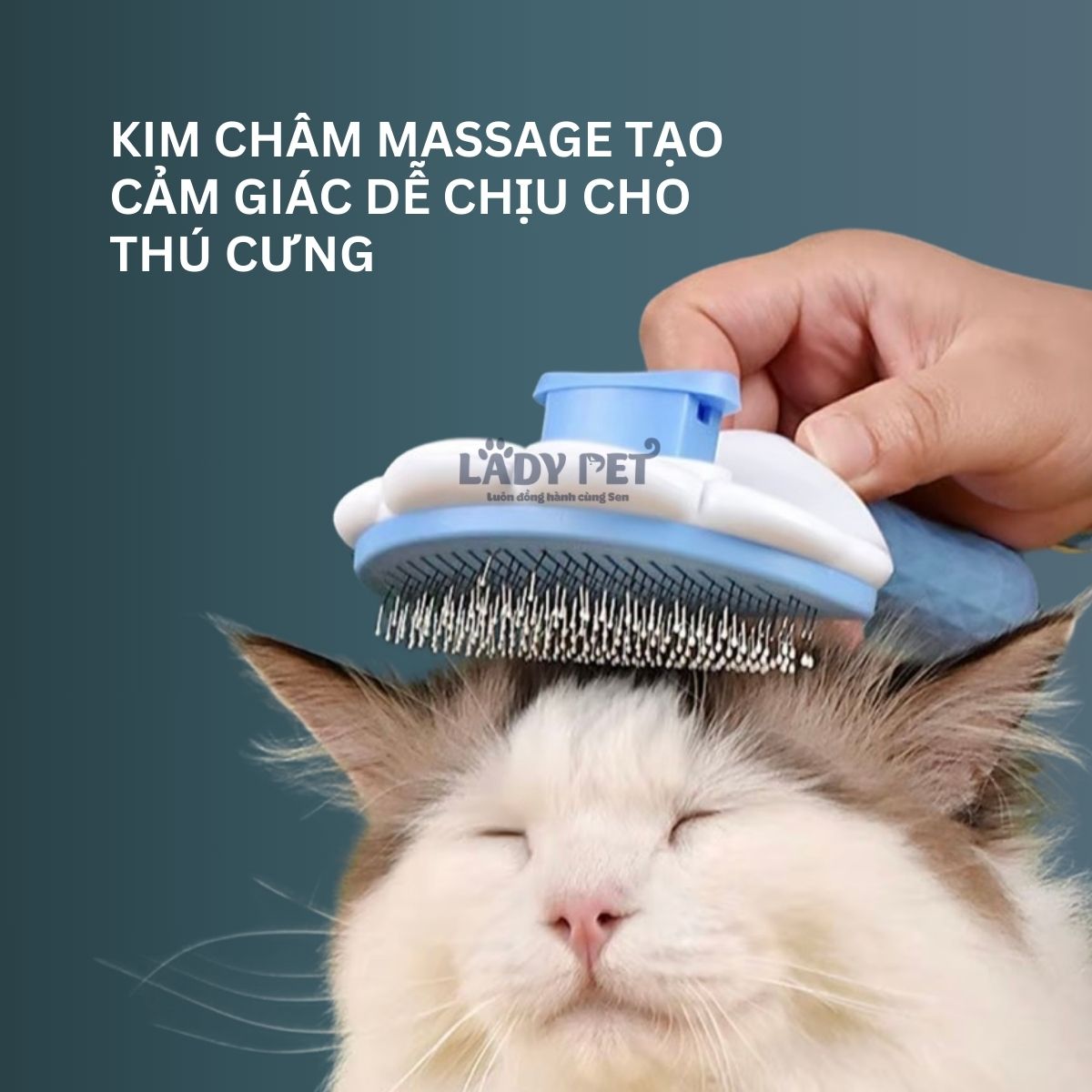 Lược chải lông có nút bấm đẩy lông thừa_thumbnail_5