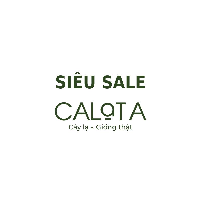 SIÊU SALE_1