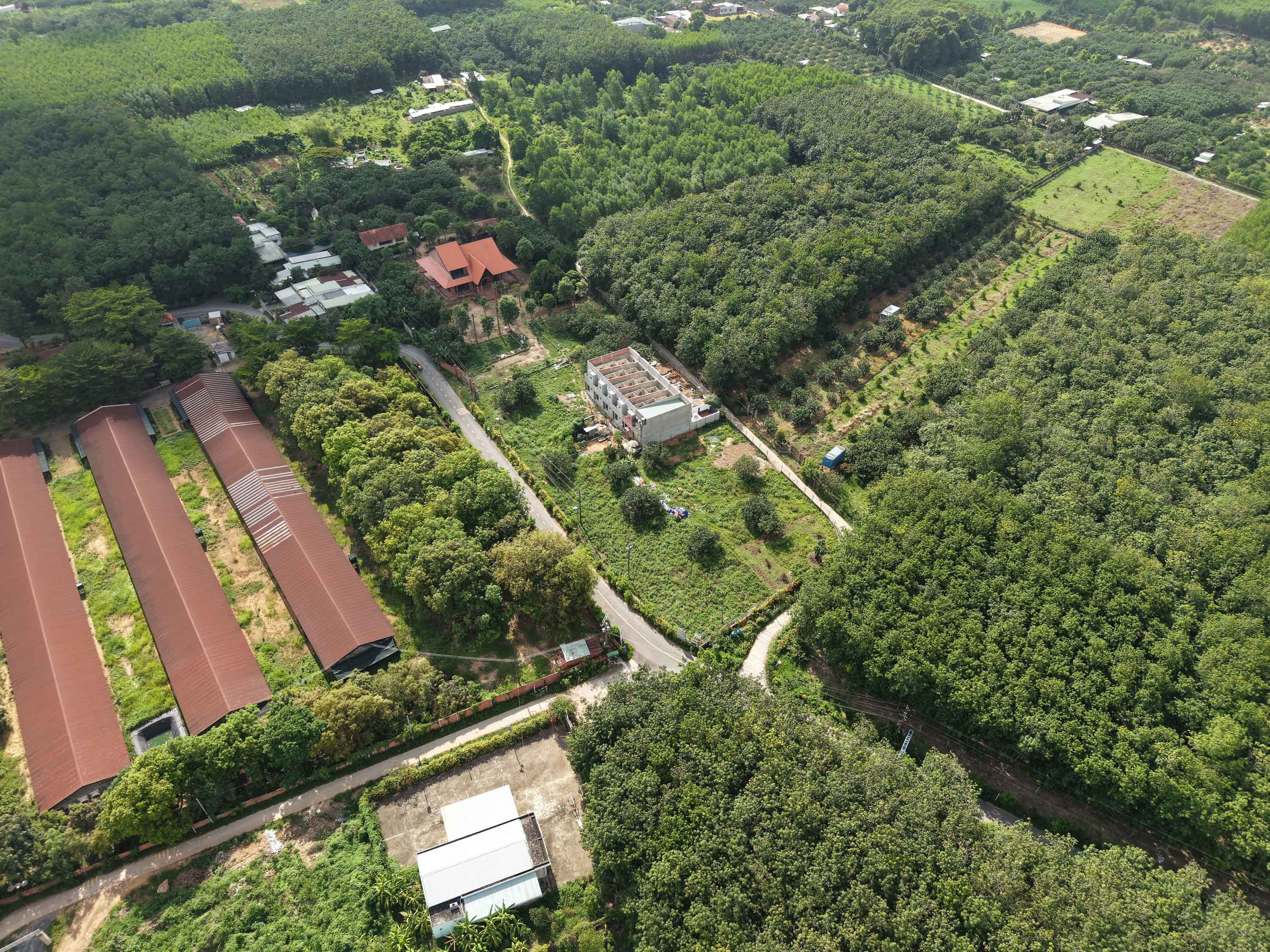 DJI_20260629084912_0008_D