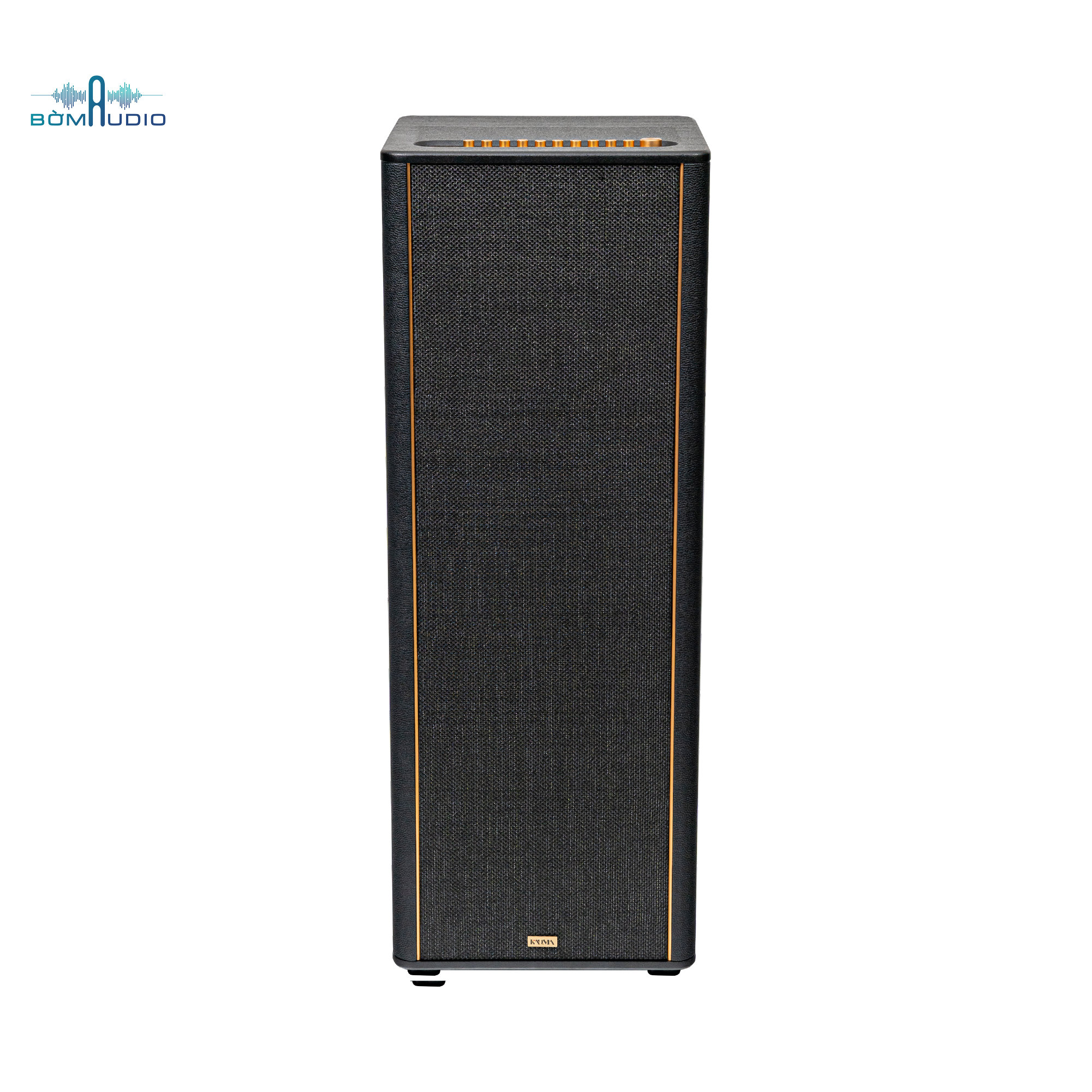 Loa Hifi Karaoke Di Động KADMA KF990_thumbnail_4