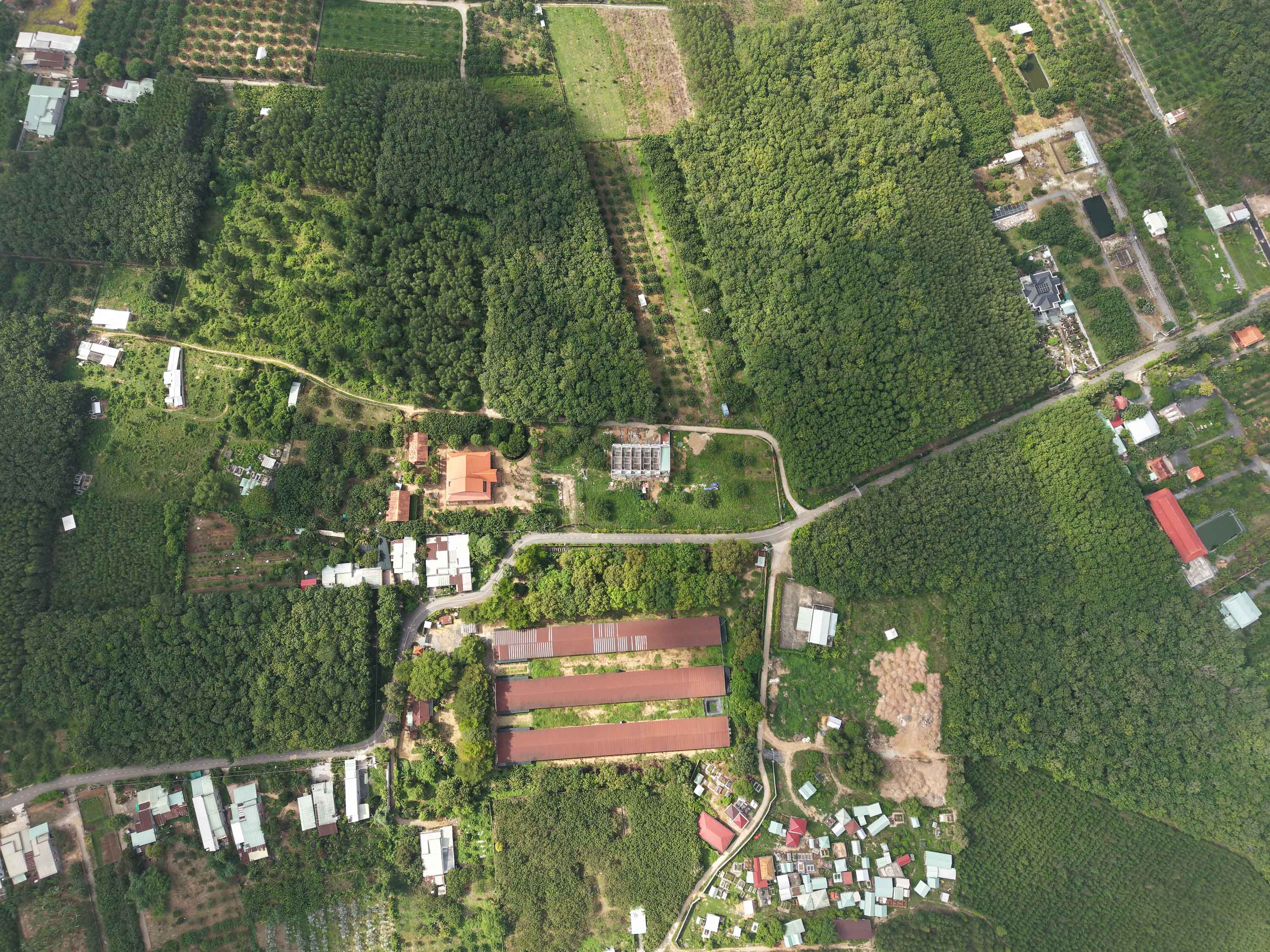 DJI_20260629085607_0025_D