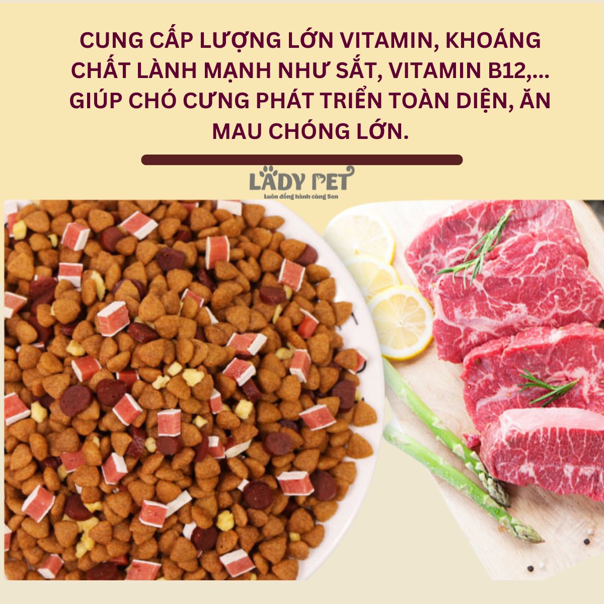 Hạt captain cho cún kén ăn_thumbnail_7