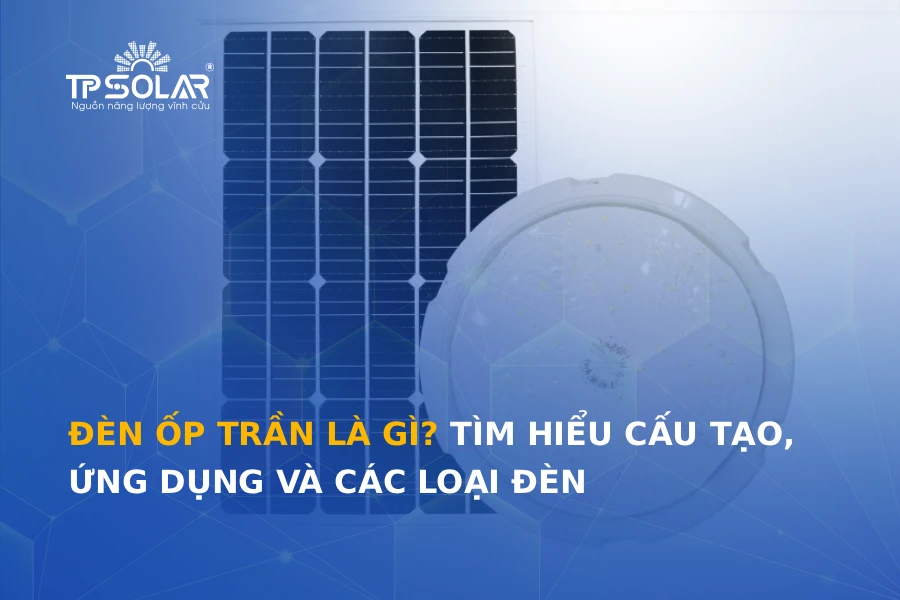 Đèn ốp trần là gì? Tìm hiểu cấu tạo, ứng dụng và các loại đèn