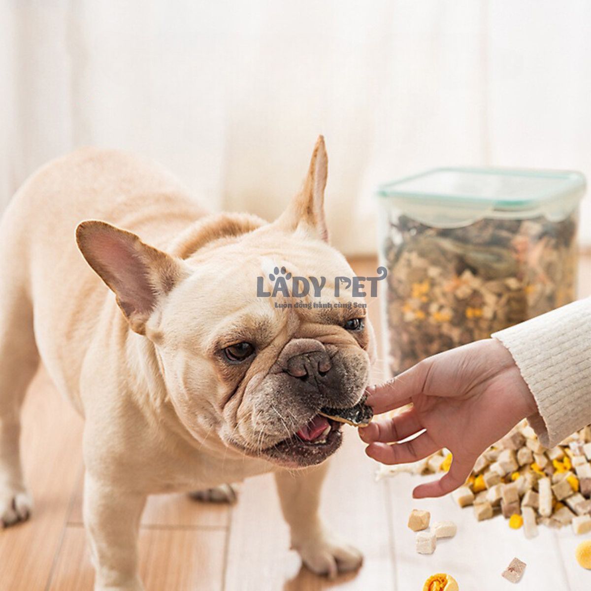 [Thịt Sấy Thường] Hộp Thịt Sấy Tổng Hợp Cho Chó Mèo Hộp 650G_thumbnail_6