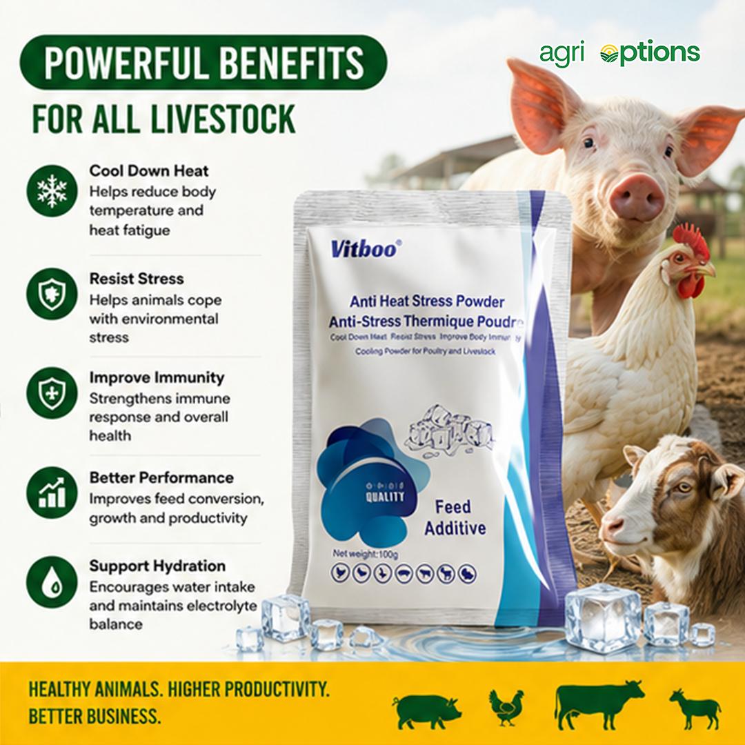 Vitboo Anti Heat Stress Powder_thumbnail_5