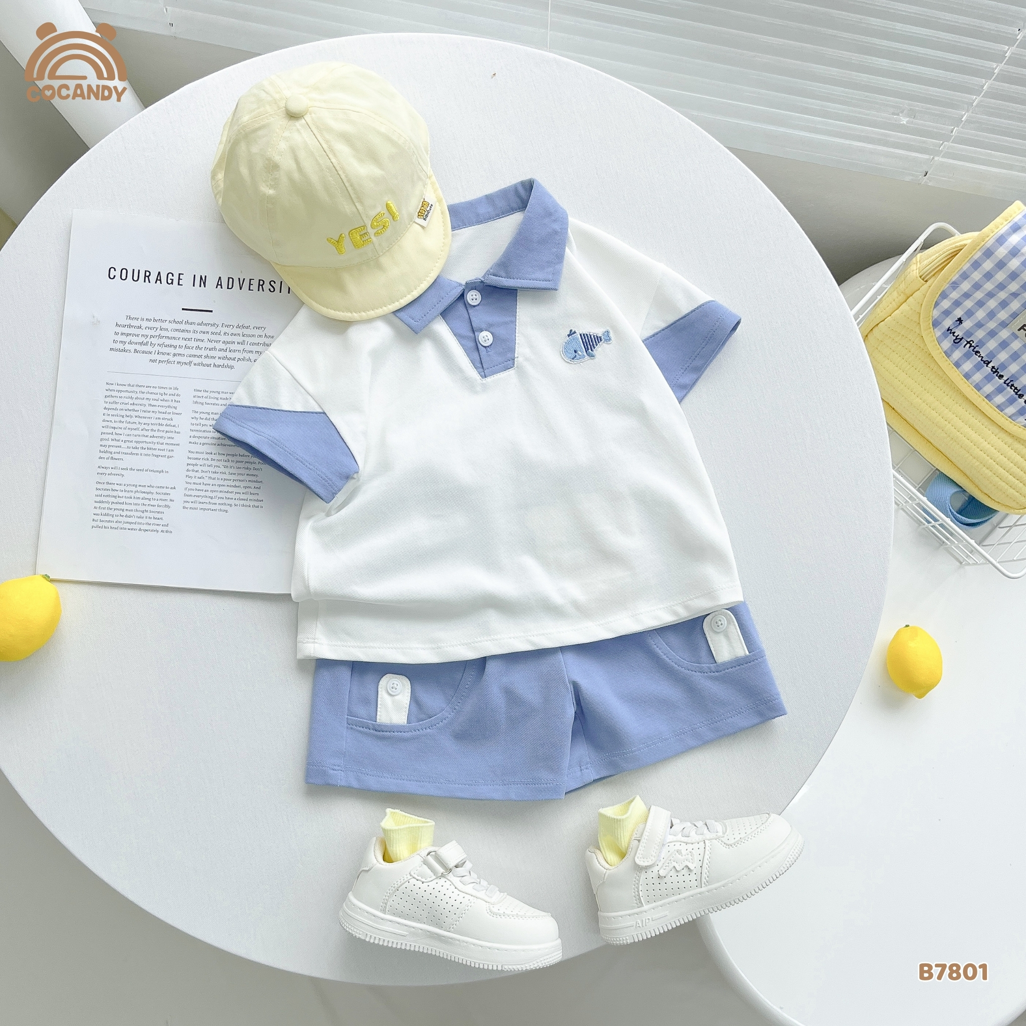 Bộ cộc polo XANH TRẮNG hình thêu cá heo