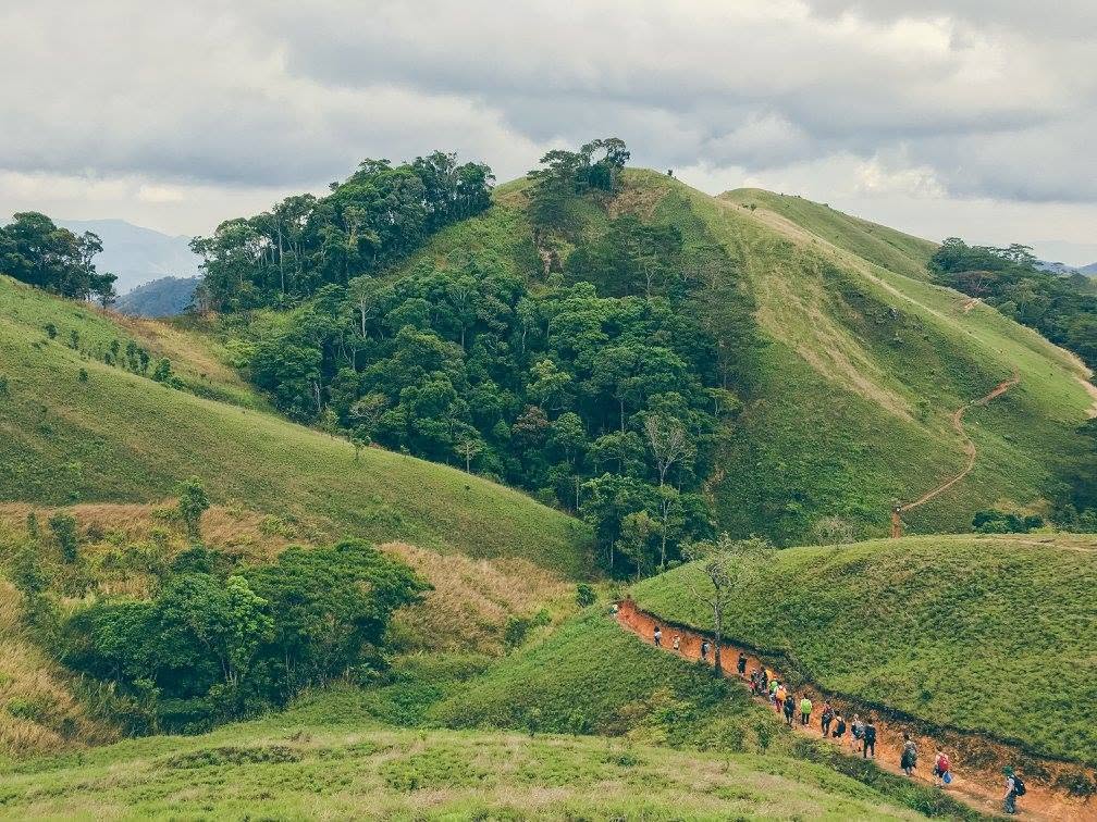 Trekking Tà Năng – Phan Dũng: cung đường và cách phòng vắt