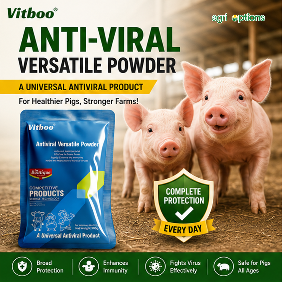 Anti-Viral Versatile Powder Fever Virus Treatment - Swine Pig_thumbnail_3