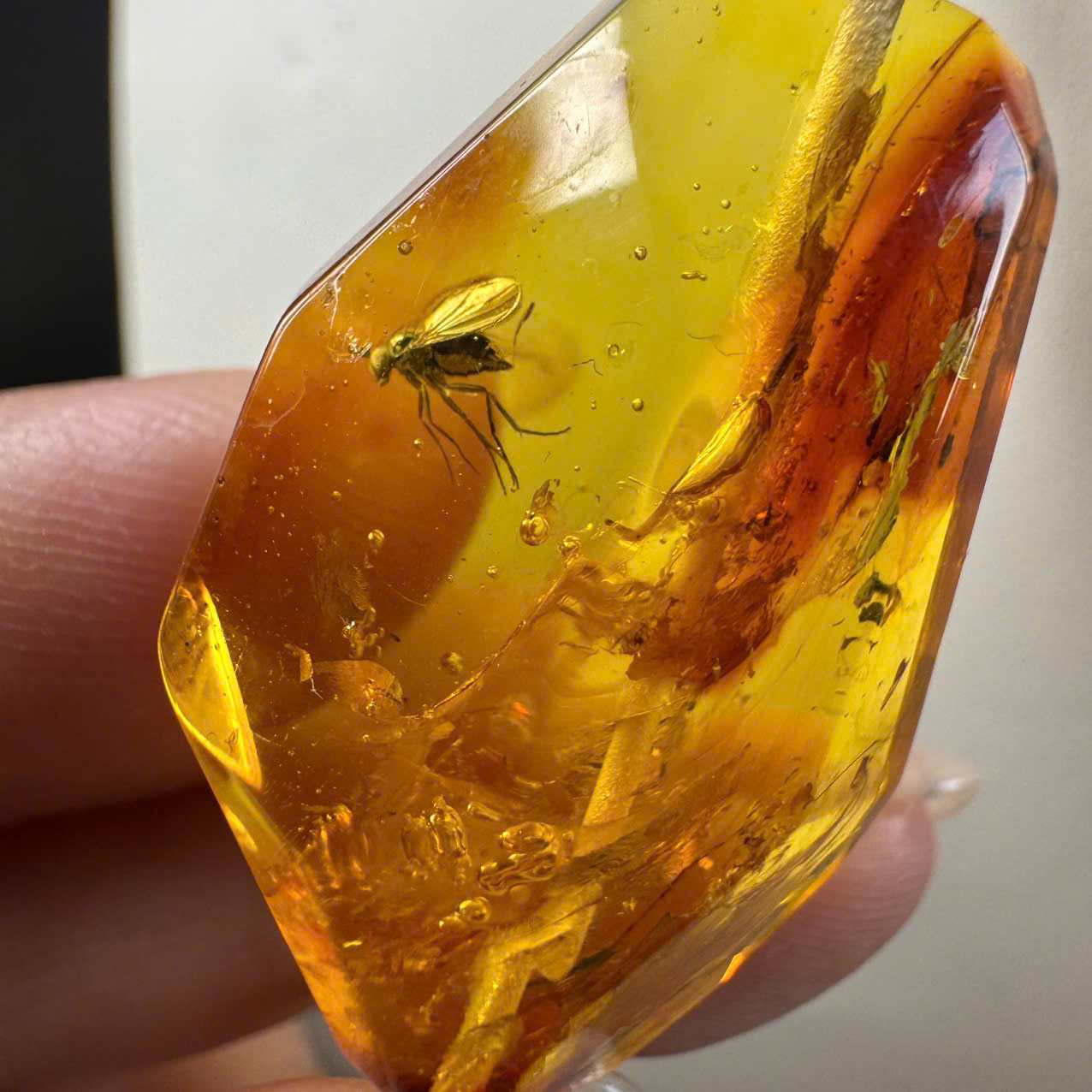 Dây Cổ Hổ Phách Mộc Phách Mix Cắt Giác Đa Sắc - 1205_thumbnail_2