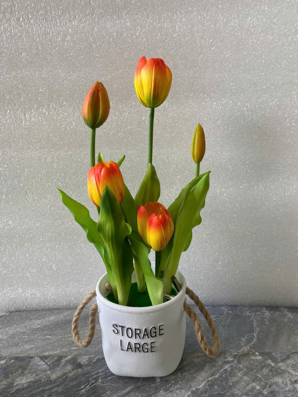 CHẬU TULIP 90K_thumbnail_6