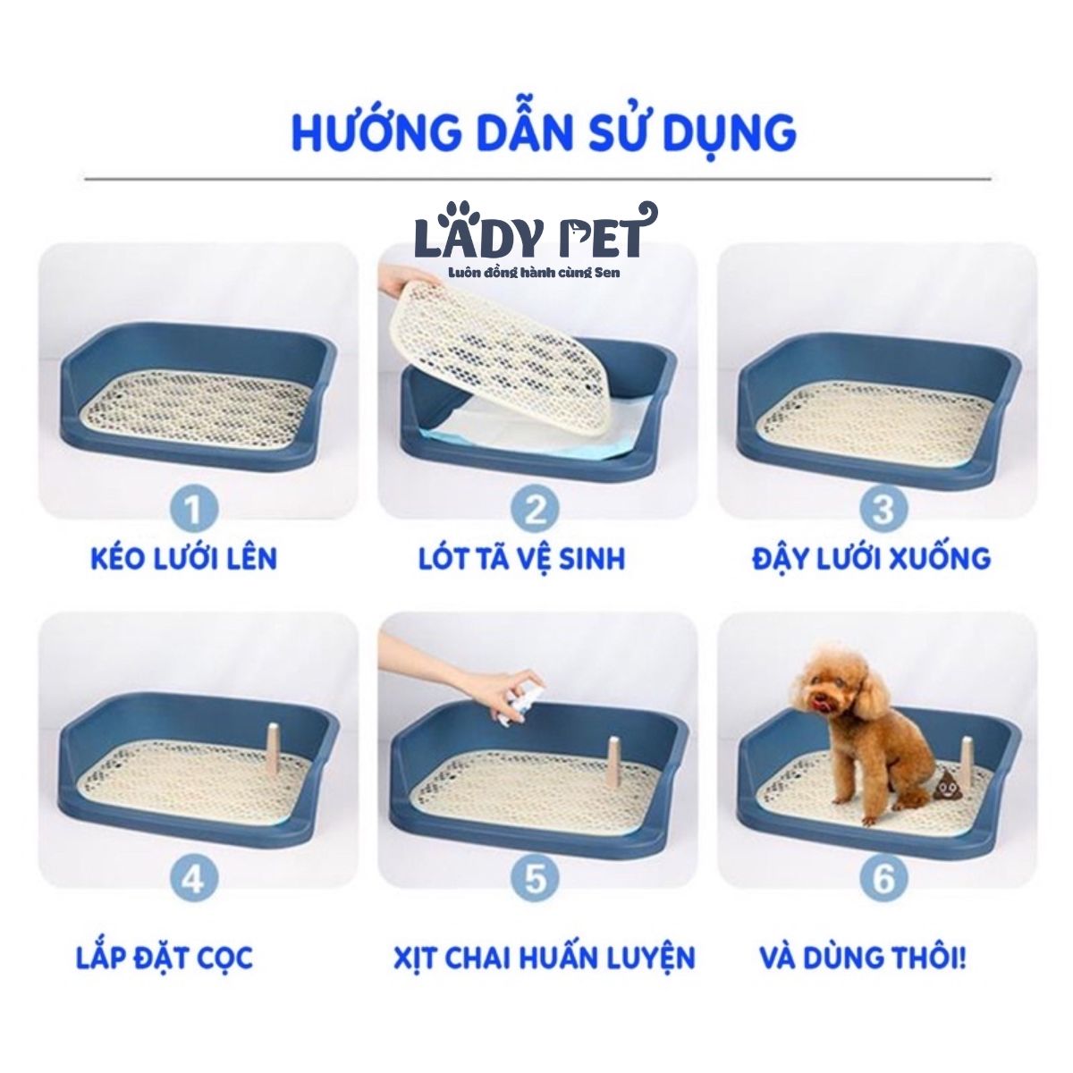 Khay vệ sinh có thành cho chó_thumbnail_5