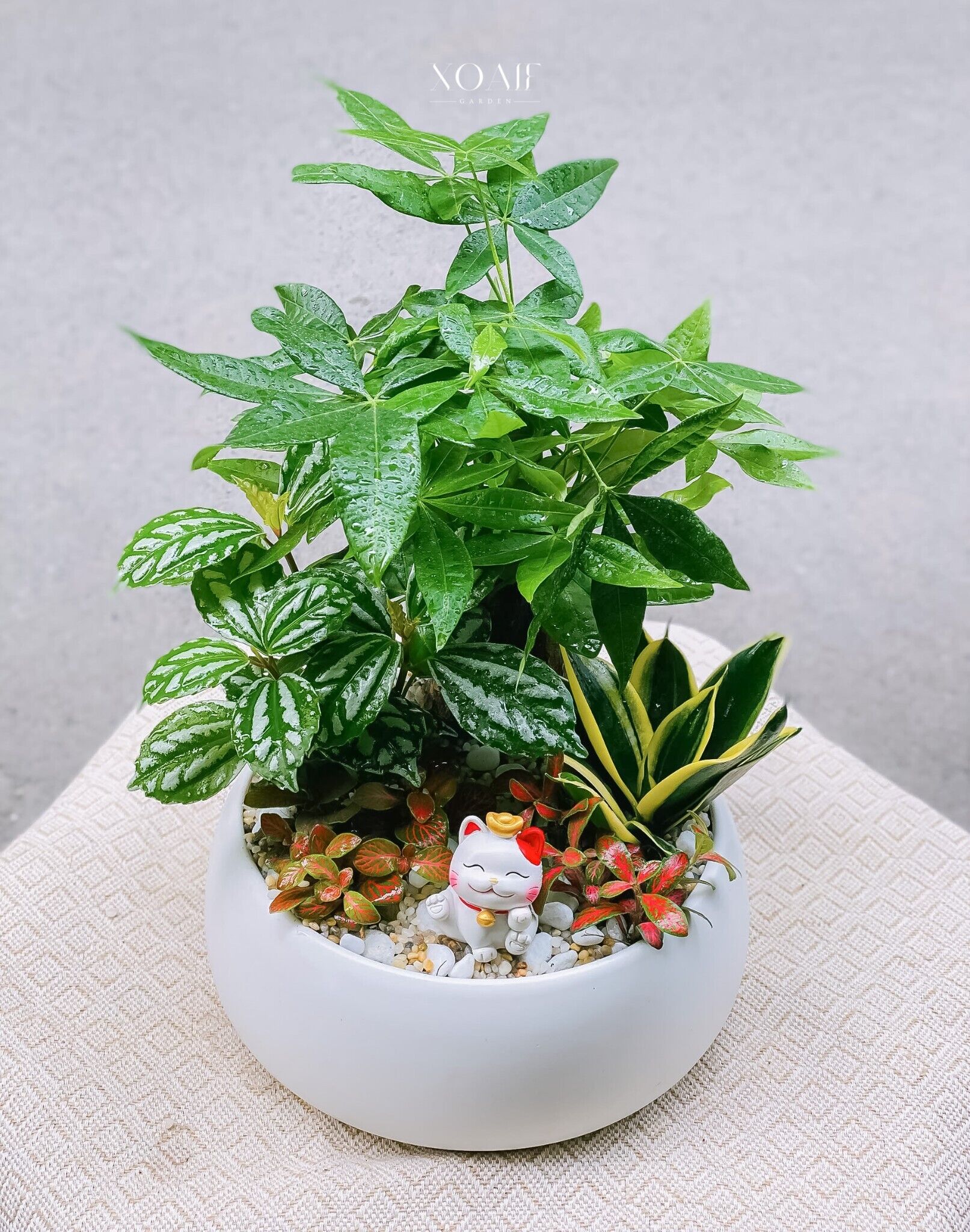 SET KIM NGÂN MIX CHẬU ANG