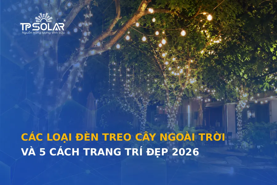 Các loại đèn treo cây ngoài trời và 5 cách trang trí đẹp 2026