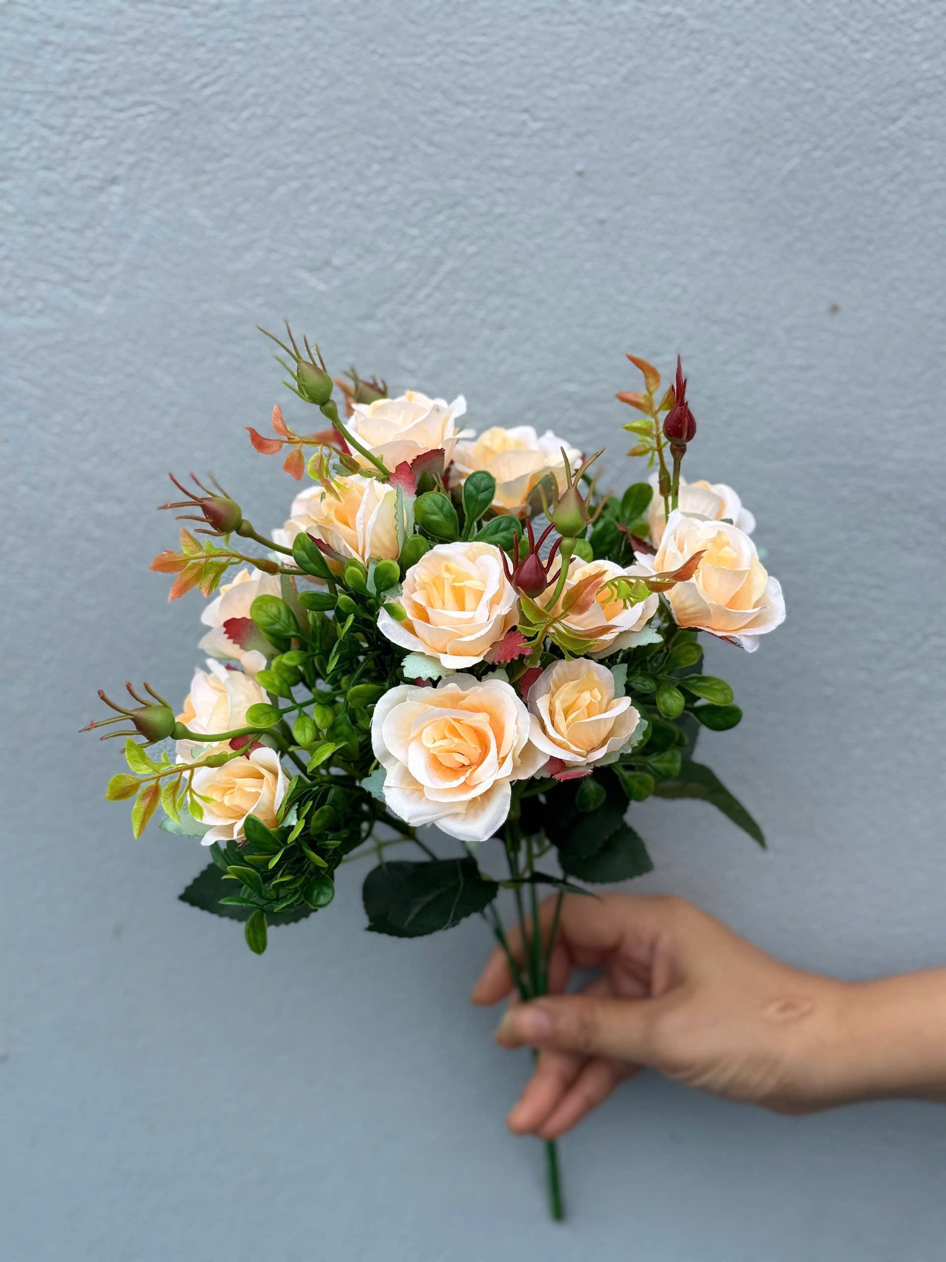 CỤM SOFIA 18,5K_thumbnail_7