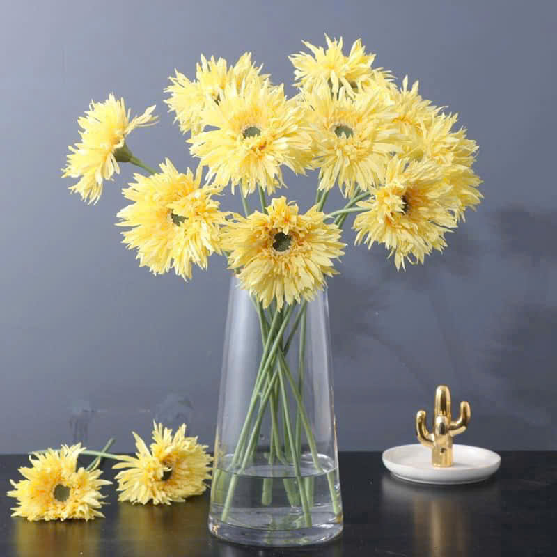 Cúc đồng tiền 1b 9k