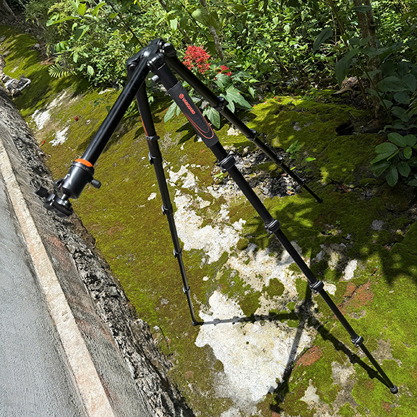 Tripod nội địa Nhật Vanguard model: VEO 265AB)_thumbnail_12