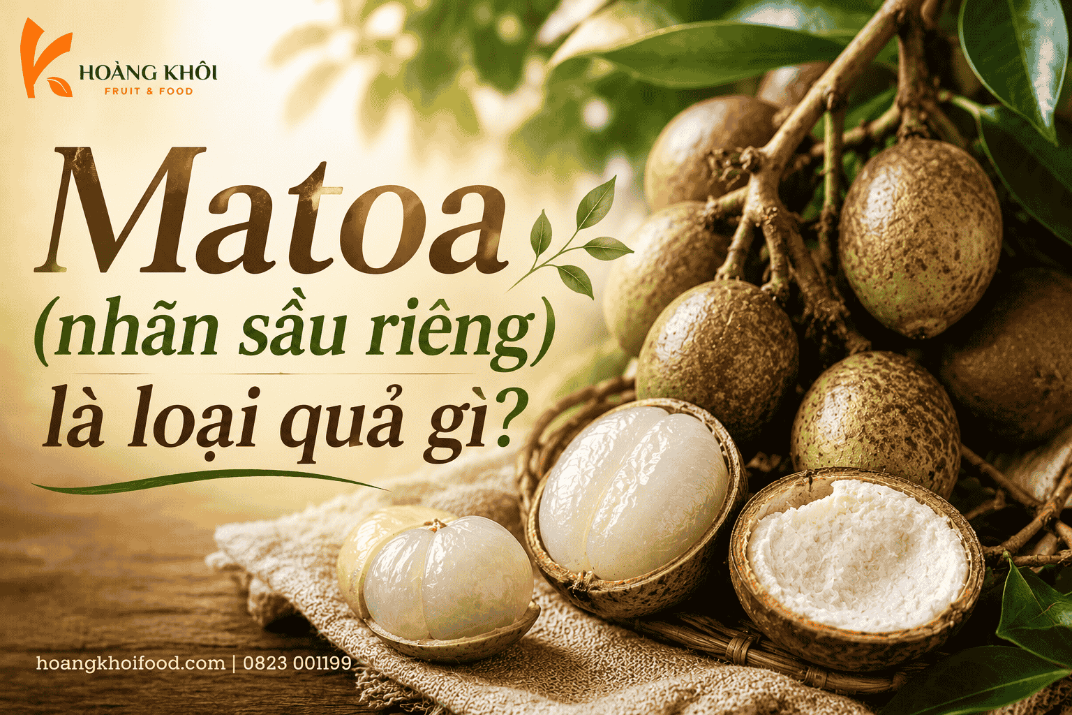 Matoa (nhãn sầu riêng) là loại quả gì?