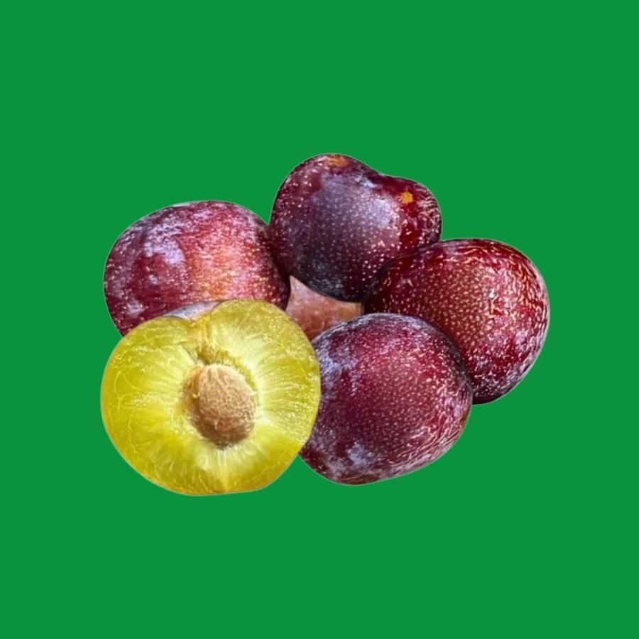 kg